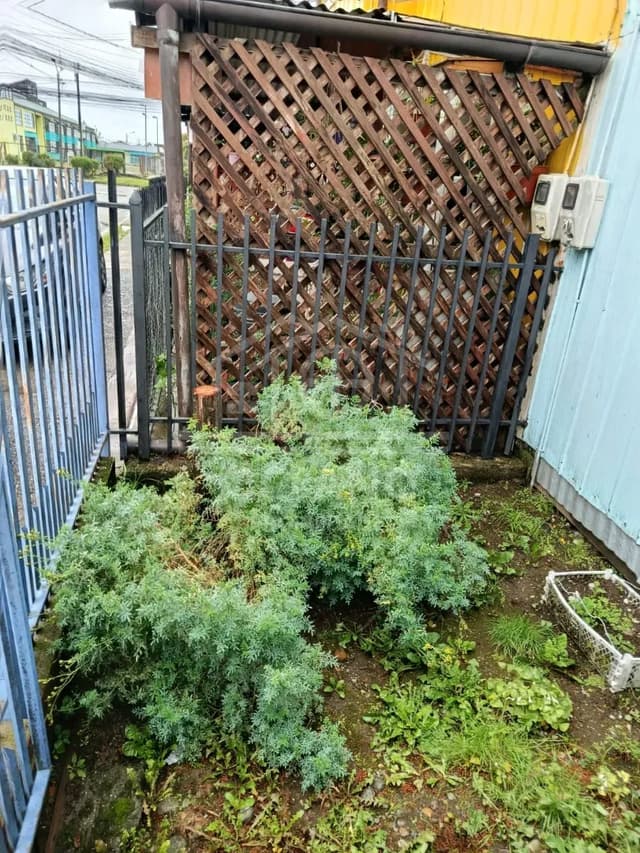 Casa Alerce Sur Excelente Ubicacion